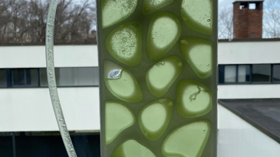 The Algae Shade panel outdoors, its hexagonal cells holding live algae